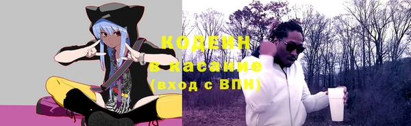 индика Верхний Тагил