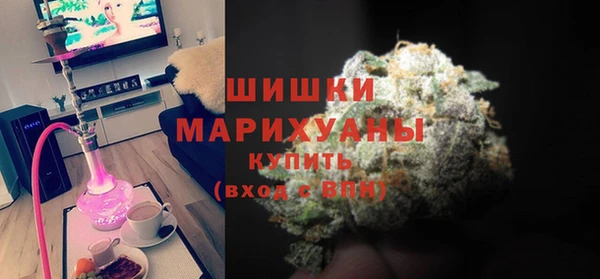 индика Верхний Тагил