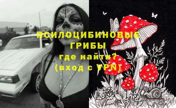 индика Верхний Тагил
