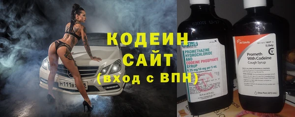 индика Верхний Тагил