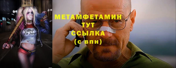 индика Верхний Тагил