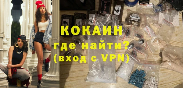 индика Верхний Тагил