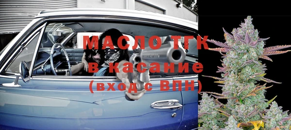 индика Верхний Тагил
