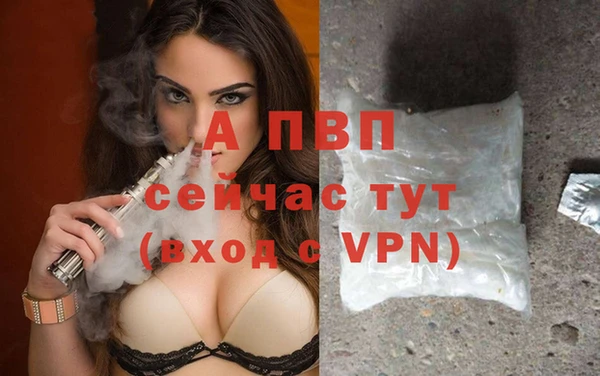индика Верхний Тагил