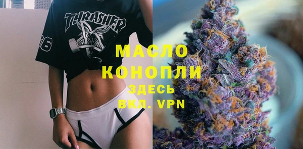индика Верхний Тагил