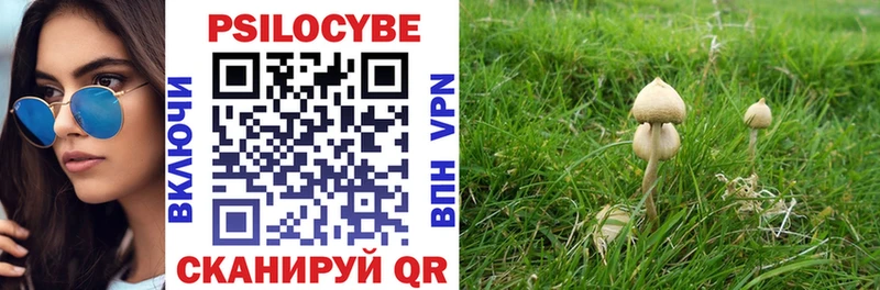 купить закладку  Муром  Псилоцибиновые грибы мухоморы 